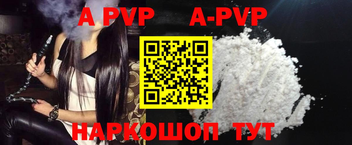 A-PVP СК Горно-Алтайск