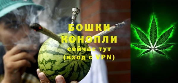 прущие грибы Богородск