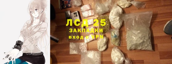 гашик Богданович