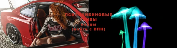 гашик Богданович