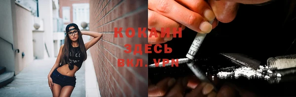 прущие грибы Богородск