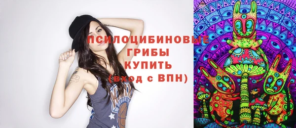 гашик Богданович