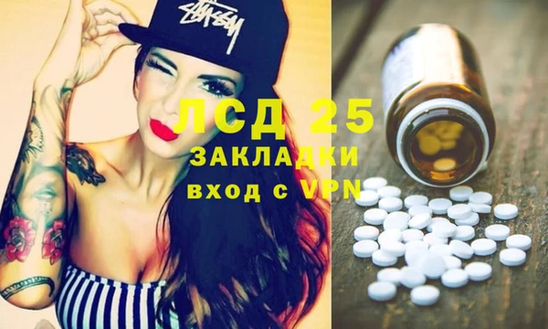 прущие грибы Богородск