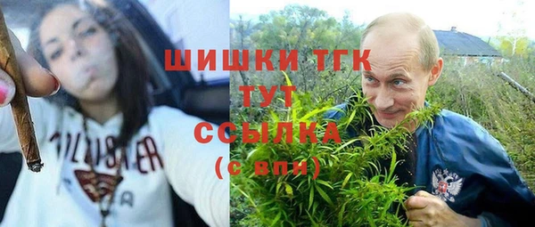 скорость Богородицк