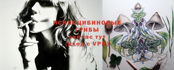 гашик Богданович