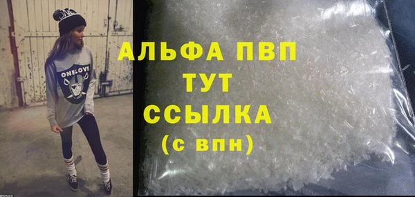 гашик Богданович