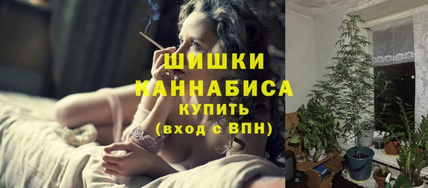 гашик Богданович