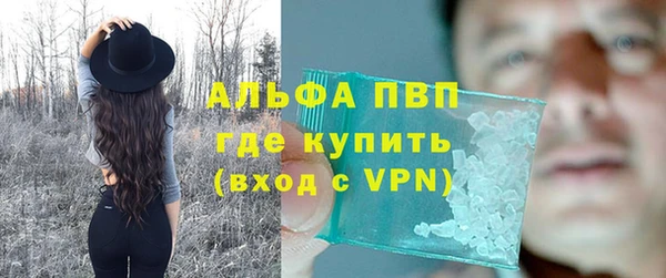 прущие грибы Богородск