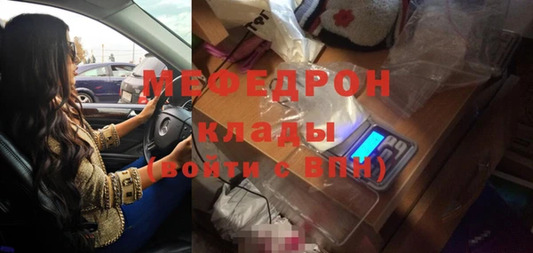 гашик Богданович