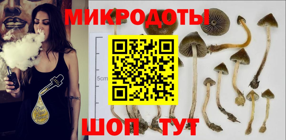 Горно-Алтайск  Галлюциногенные грибы Psilocybine cubensis  Галлюциногенные грибы мухоморы  Вход с VPN 