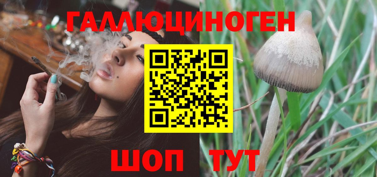 Псилоцибиновые грибы MAGIC MUSHROOMS  Галлюциногенные грибы Cubensis  Горно-Алтайск 